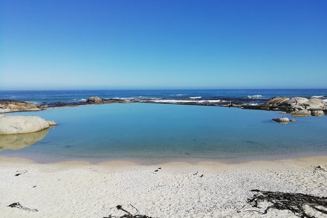 Cape Peninsula Day Tour - Practical Details: What to Expect