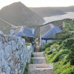 Cape Peninsula Full Day Private Experience - Authentic Insights from Reviewers