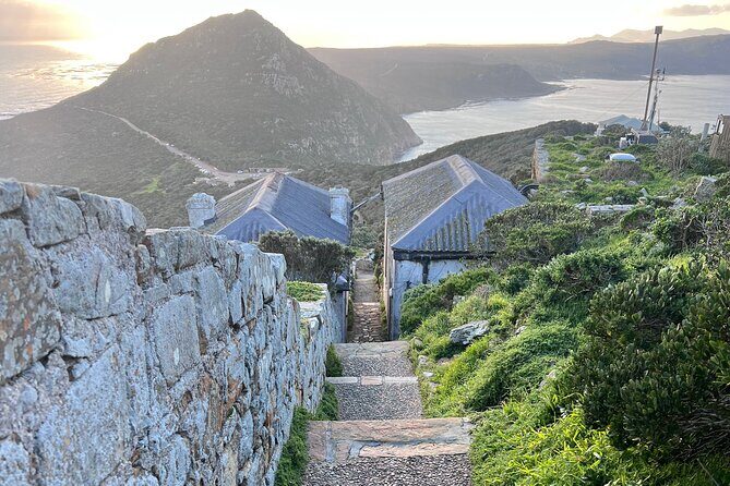 Cape Peninsula Full Day Private Experience - Authentic Insights from Reviewers
