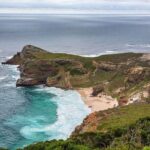 Cape Peninsula Full Day Tour - What Sets This Tour Apart?