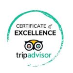 Cape Peninsula Half Day Tour From Cape Town Travel Choice Award - Why Choose This Tour?