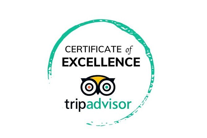 Cape Peninsula Half Day Tour From Cape Town Travel Choice Award - Why Choose This Tour?