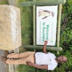 Cape Peninsula &Penguin Sightseeing in Private Car Full Day Tour - The Experience, Costs, and What to Expect