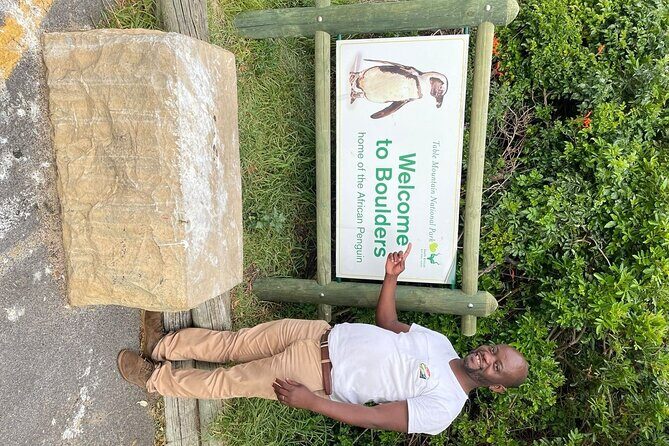 Cape Peninsula &Penguin Sightseeing in Private Car Full Day Tour - The Experience, Costs, and What to Expect