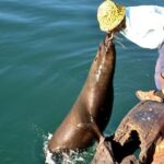 Cape Peninsula Private tour - Authentic Insights from Reviews