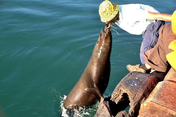 Cape Peninsula Private tour - Authentic Insights from Reviews