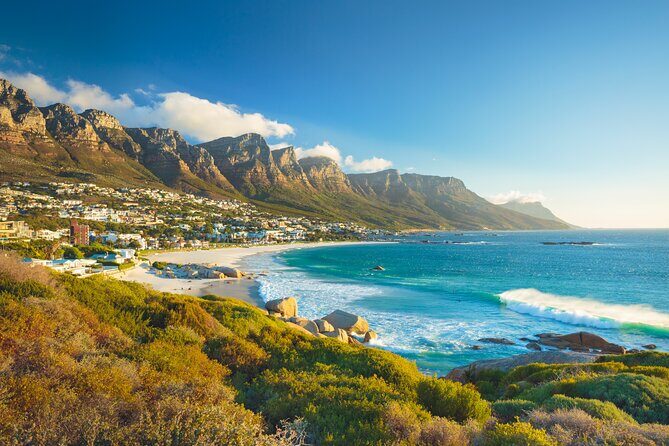Cape Peninsula Sightseeing Tour - What We Love About This Tour
