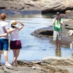 Cape Peninsula with a Marine Biologist - Is This Tour Worth the Price?