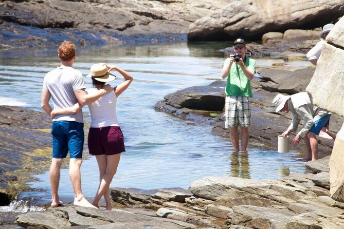 Cape Peninsula with a Marine Biologist - Is This Tour Worth the Price?
