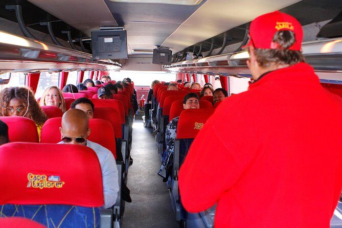 Cape Point and Boulder's Penguins Full Day Tour - Is It Worth the Price?