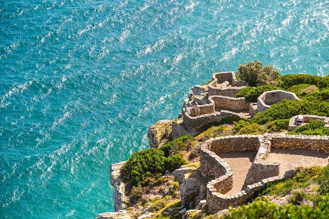 Cape Point Penguin Tour - The Experience: What Makes It Special