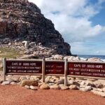 Cape Point, Penguins & Wine Tasting In Constantia Full Day Tour - Summary of Highlights and Practical Tips