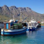 Cape Point Sightseeing Tour including Cape of Good Hope full day from Cape Town - Who Will Love This Tour?