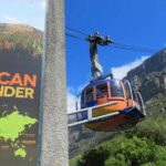 Cape Town City Sightseeing and Table Mountain Private Day Tour - Practical Considerations