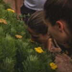 Cape Town: Magical Lion's Head Hike - The Value of This Tour