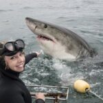 Cape Town: Shark Cage Diving & Penguins Tour to Gansbaai with private transfers - Who Is This Tour Best For?