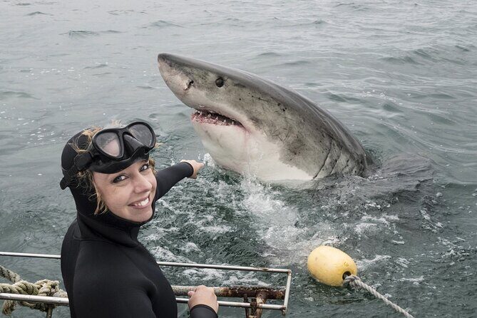 Cape Town: Shark Cage Diving & Penguins Tour to Gansbaai with private transfers - Who Is This Tour Best For?
