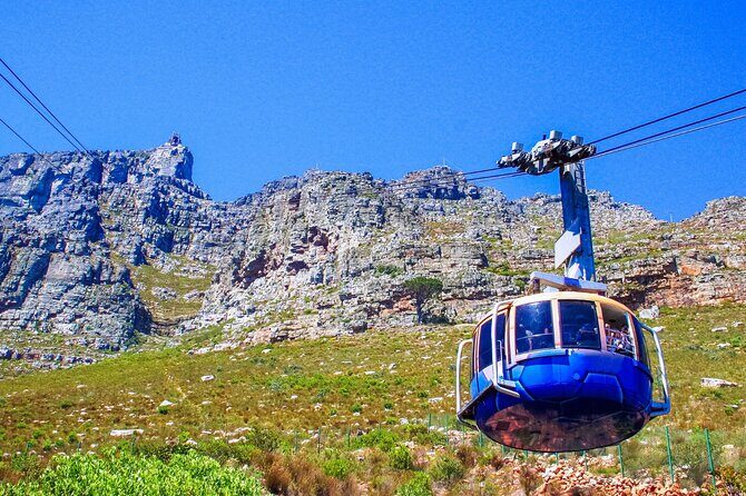 Cape Town Shore Tour: Table Mountain, Penguin & Cape Point - Critical Considerations: Weather and Extra Costs