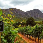 Cape town - Unique Private wine tour Blend & bottle own wine - Who This Tour Is Perfect For