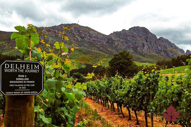 Cape town - Unique Private wine tour Blend & bottle own wine - Who This Tour Is Perfect For