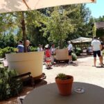 Cape Town Wine Tasting - Final Stop: Paarl and Cultural Insights