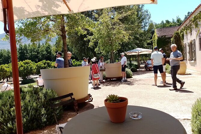 Cape Town Wine Tasting - Final Stop: Paarl and Cultural Insights