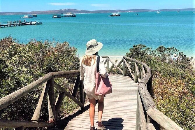 Cape West Coast Flower Tour - Authentic Insights from Traveler Reviews