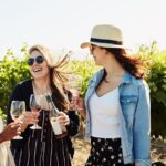 Cape Winelands Explore Full Day Tour with Private Transfer - Practical Tips