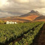 Cape Winelands in Stellenbosch and Franschhoek Private Tour - The Value of This Experience