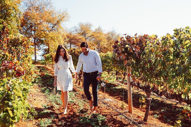 Cape Winelands Private Tour to Stellenbosch and Franschhoek - Who’s This Tour Best For?