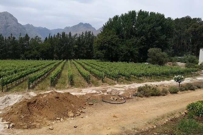 Cape Winelands Stellenbosch Franschhoek Paarl Tour from Cape Town - Final Thoughts: Is This Tour Worth It?