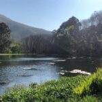 Cape Winelands Tour - Practical Tips for Your Trip
