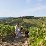 Cape Winelands Tour to Stellenbosch, Franschhoek and Paarl - Authentic Traveler Insights