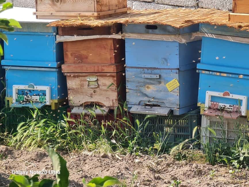 Cappadocia: Beekeeping Experience with Honey Tasting - An Authentic Dive into the World of Bees
