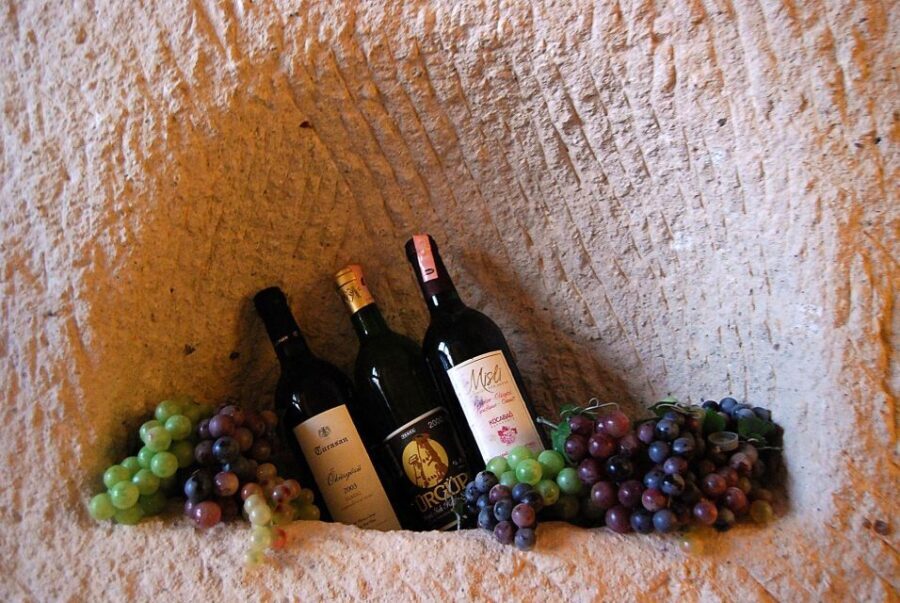 Cappadocia: Combo Tour with Wine Tasting and Adventure Tours - How Do the Reviews Reflect the Experience?