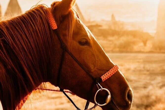 Cappadocia Horseback Riding Tour (Transfer Included) - Pricing and Value