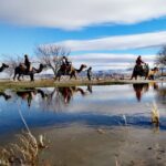 Cappadocia: Valleys Highlights Camel Tour with Hotel Pickup - Is It Worth the Price?