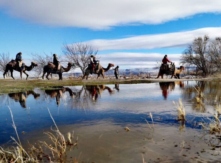Cappadocia: Valleys Highlights Camel Tour with Hotel Pickup - Is It Worth the Price?