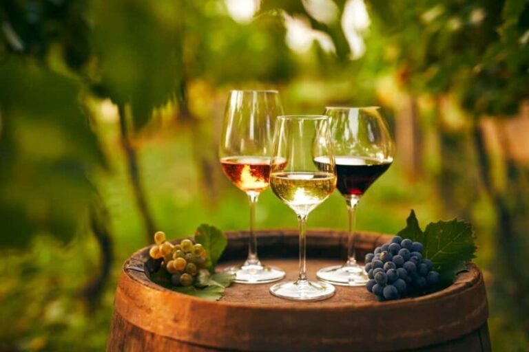 Cappadocia Wine Tasting Experience - Discovering the Heart of Cappadocian Winemaking