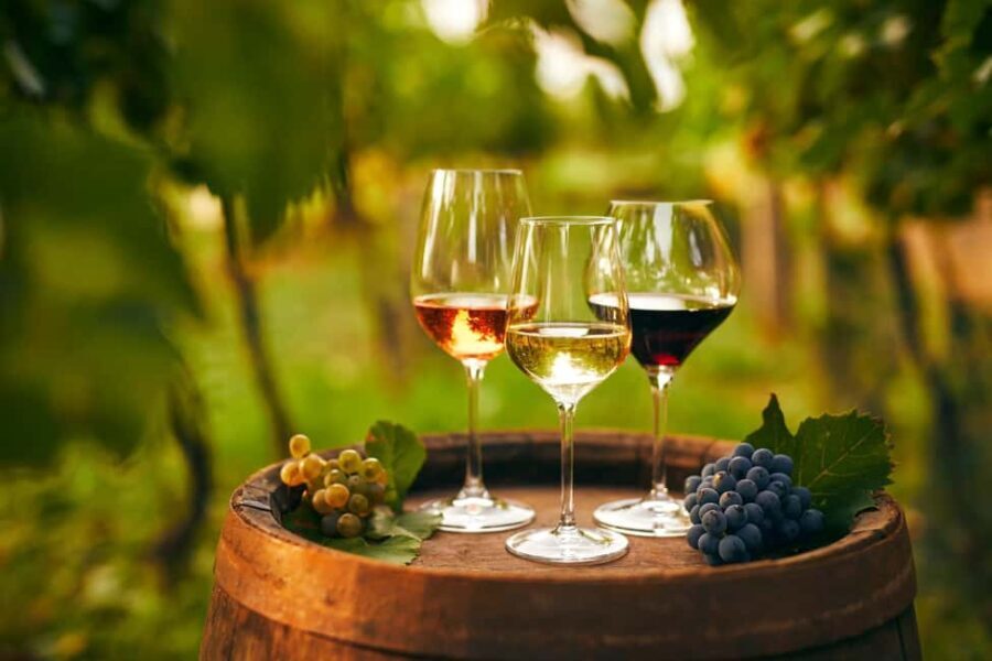 Cappadocia Wine Tasting Experience - Discovering the Heart of Cappadocian Winemaking