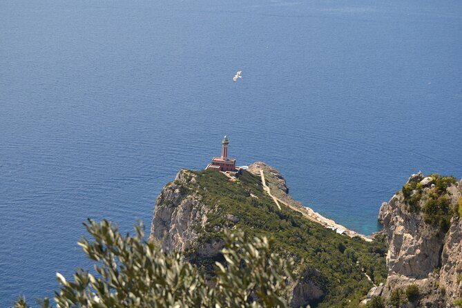 Capri Island and Blue Grotto Small Group Day Tour from Capri Port - Practical Details and Value