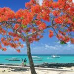 Car Hire for a Day with Driver - 8 Hours - Why It’s a Great Option for Different Travelers