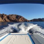 Cartagena: Guided boat tour to Isla de las Palomas - Discovering Isla de las Palomas: A Birdwatcher’s Paradise