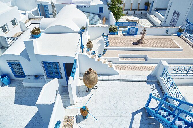 Carthage, Bardo Museum, Sidi Bou Said and Medina Private Day Tour - Practical Details and Tips