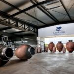 Casa Relvas, Évora - Visit to the Winery with Tasting of 3 wines and snacks - Key Points