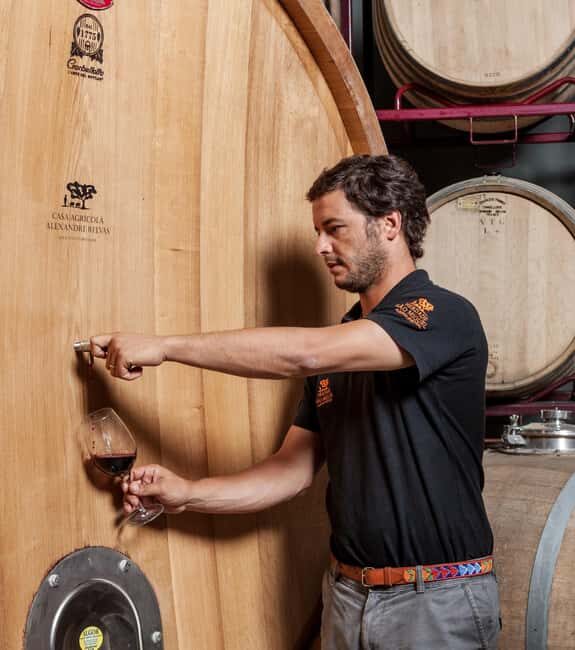 Casa Relvas, Évora - Visit to the Winery with Tasting of Portuguese Grape Varieties and Tapas - Final Thoughts