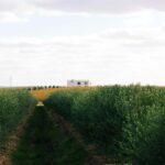 Casa Relvas, Vidigueira: Visit to the Oil Mill and Olive Oil and Wine Pairing - FAQ