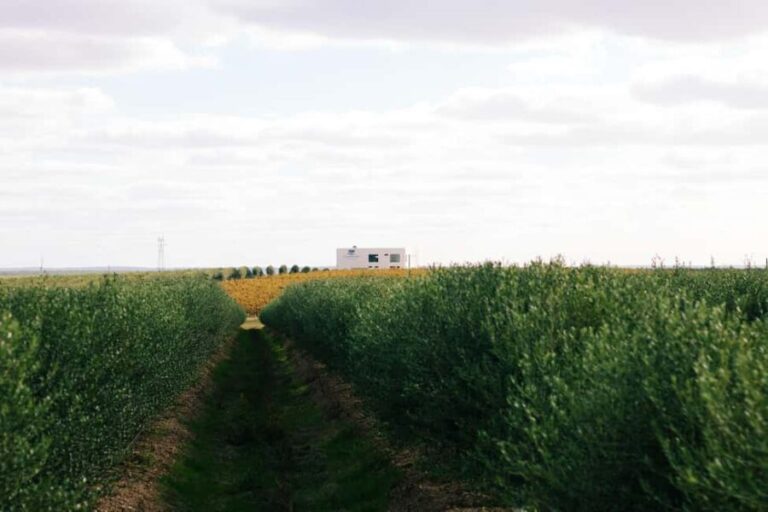 Casa Relvas, Vidigueira: Visit to the Oil Mill and Olive Oil and Wine Pairing - FAQ