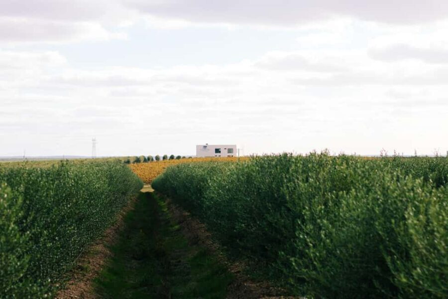 Casa Relvas, Vidigueira: Visit to the Oil Mill and Olive Oil and Wine Pairing - FAQ