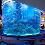 Casablanca City Tour min 2 pers - Private - Who is This Tour Best For?